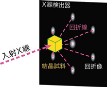 図3. 毛髪１本のX線回折パターン