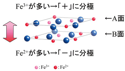 図3. 今回判明した誘電体の新しい原理