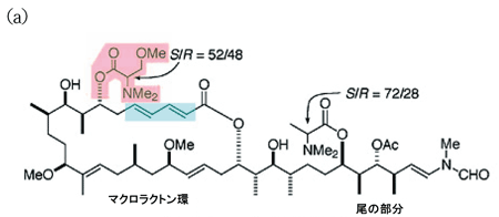 図1．左半分は主にマクロラクトン環で、右半分は主に炭素鎖で構成されている尾の部分。