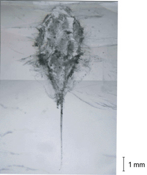 表紙の図：彗星のダストの衝突によって開けられた穴