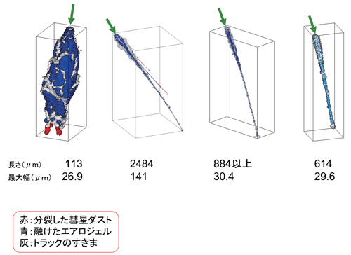 図3.　X線CT撮影により解析された様々なトラックの形