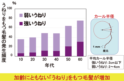 図3. 加齢にともないうねり毛が増える。