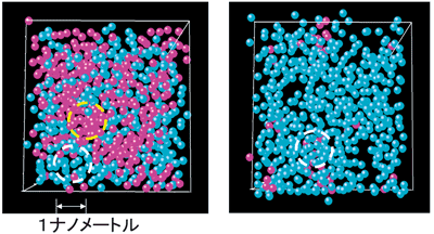図5. 左は金属−絶縁体転移のある瞬間の原子分布