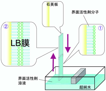 図1.　ラングミュア＆ブロジェット（LB）膜