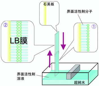 図1. ラングミュア&ブロジェット(LB)膜