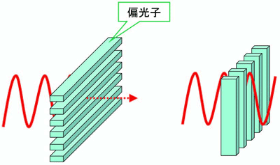 図5. 偏光は、光が波の性質を持つために表れる現象