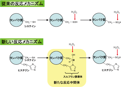 図3