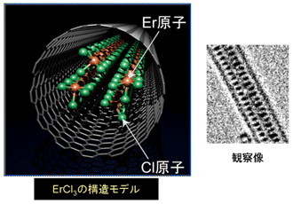 図4. カーボンナノチューブ内にできるErCl3のナノワイヤー