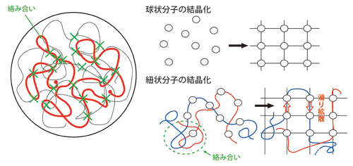 図1．「高分子の滑り拡散理論」の模式図