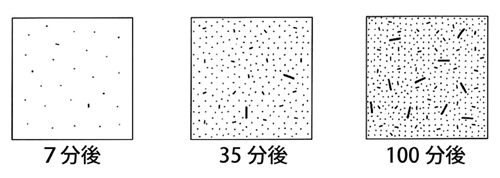 図2．SPring-8での観察データから明らかになった核の成長過程（模式図）