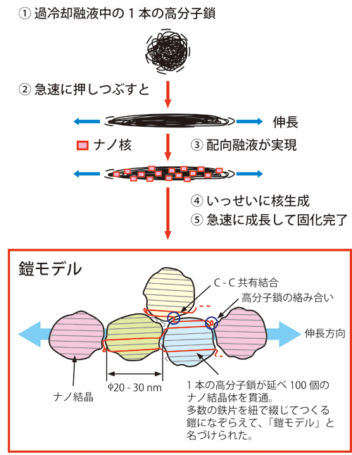 図3．ナノ配向結晶体の生成メカニズム
