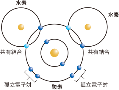 図2．水分子および共有結合の模式図