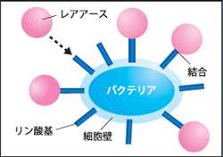 表紙図