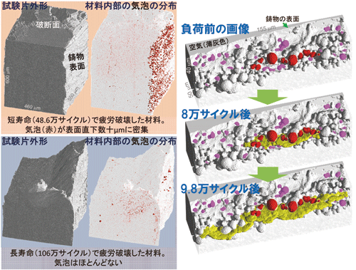 図2．4次元観察による疲労破壊試験の結果