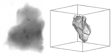 微粒子のCT透視画像（左）と鳥瞰図（右） 