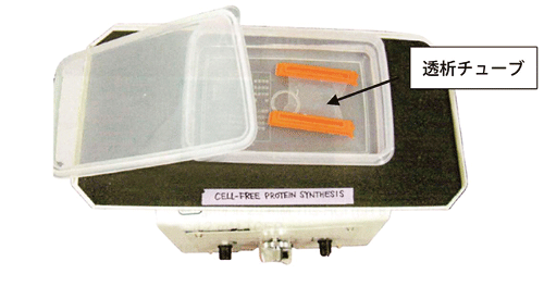 図2．無細胞タンパク質合成系
