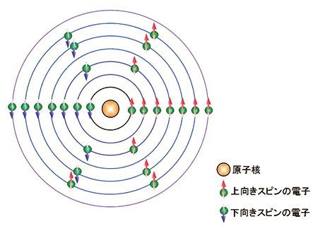 図1．原子番号26の鉄（Fe）原子の模式図