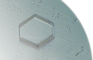 表紙：M-Rasタンパク質の結晶