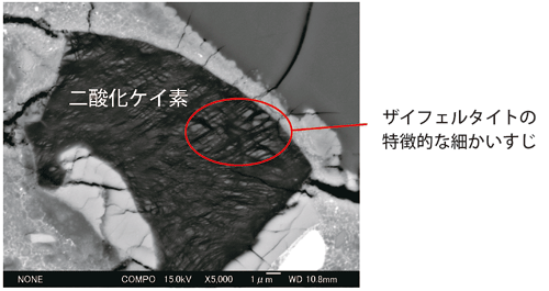 図4．NWA4734 電子顕微鏡写真