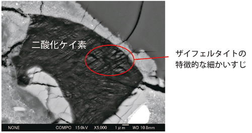 図4.NWA4734 電子顕微鏡写真