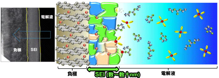 図2．SEI（電極上に形成される皮膜）