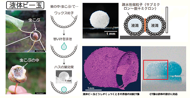 図3．