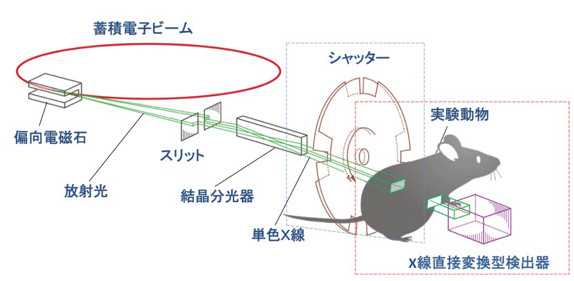 図2.高分解能微小血管造影法の全体概要