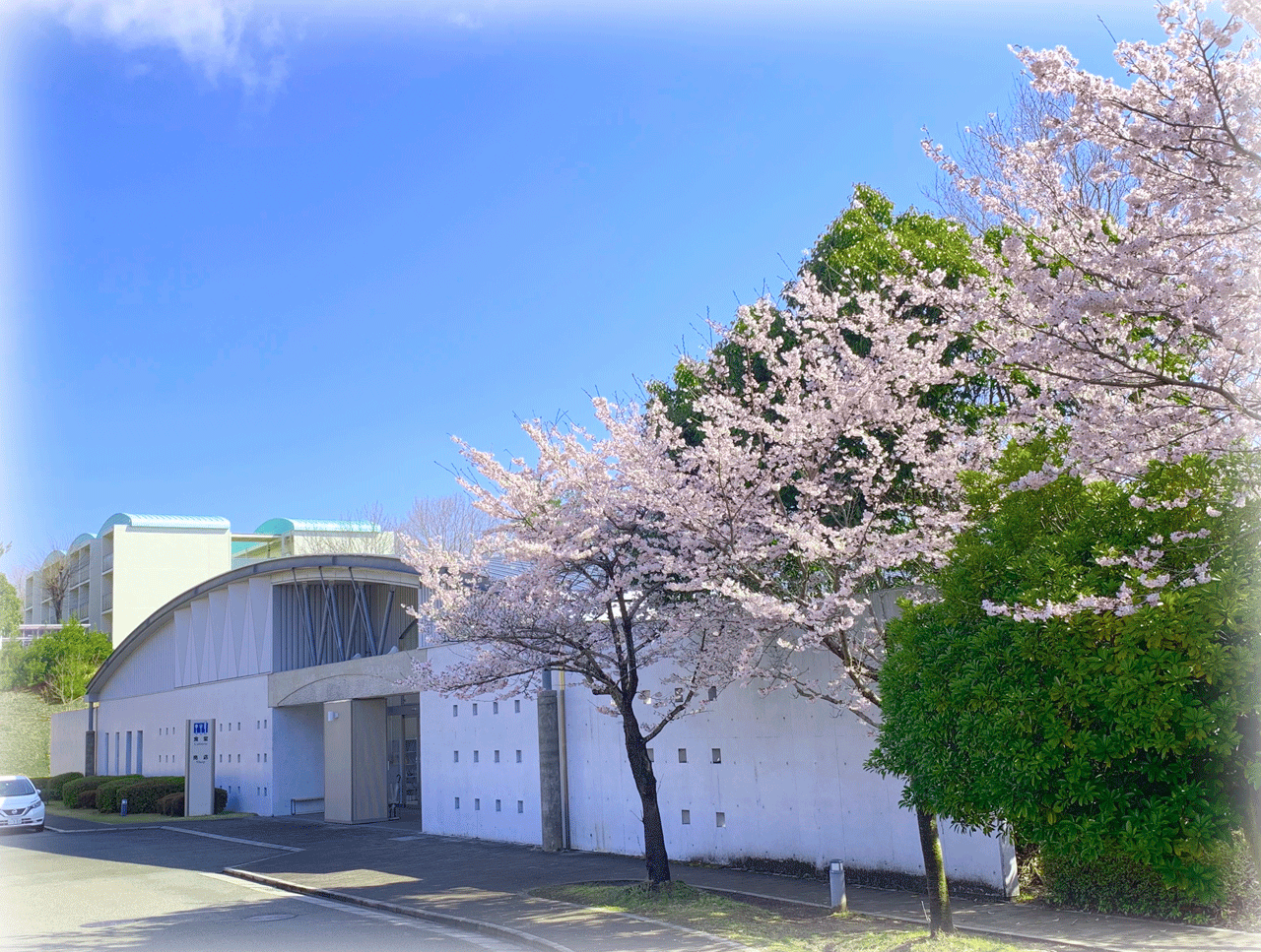 cafeteria