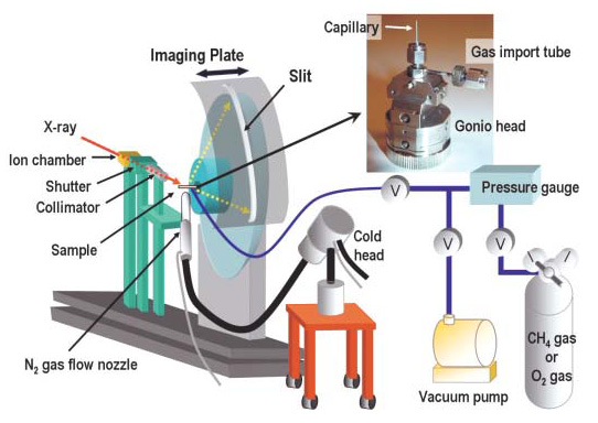 SP8info_8(2003)406_Fig2.jpg