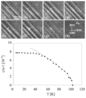 topograph-SrTiO3