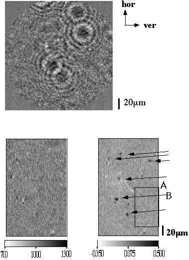 Off-Axis Holography result