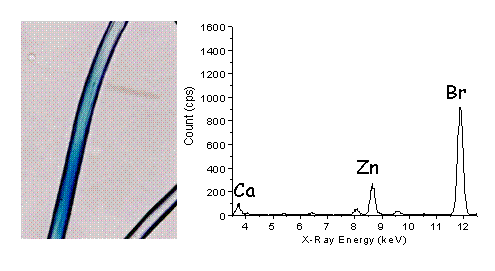 seni.gif