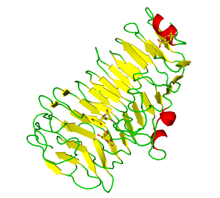 endoPG_schem.png