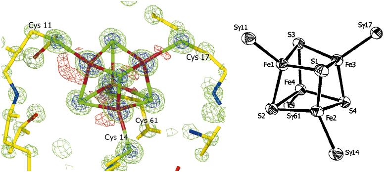 Fd_FeS_cluster_model.jpg